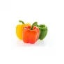 Paprika